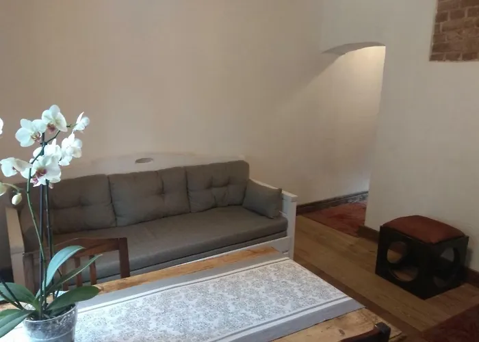 公寓 Kirsimaee Maja *